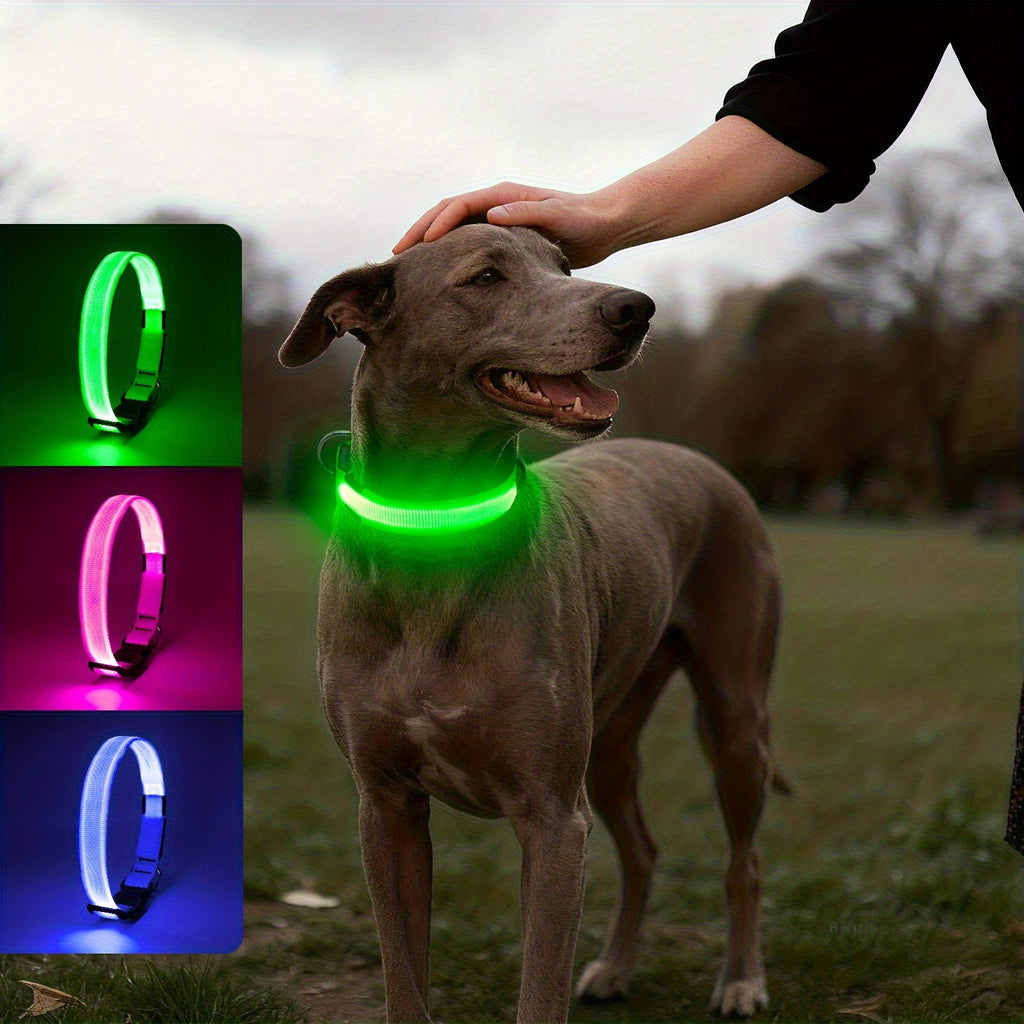Light-Up Dog Collar, Rechargeable USB Collar for Small/Medium/Large Dogs