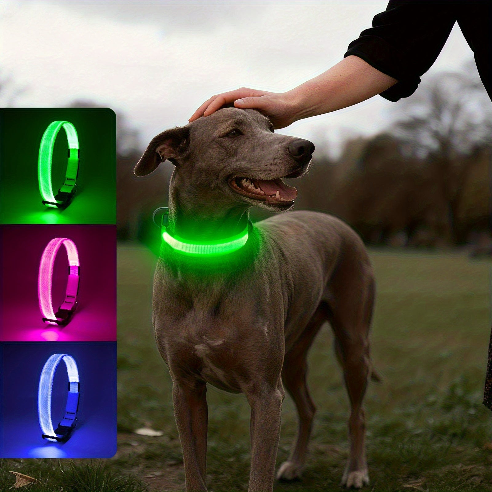 Light-Up Dog Collar, Rechargeable USB Collar for Small/Medium/Large Dogs